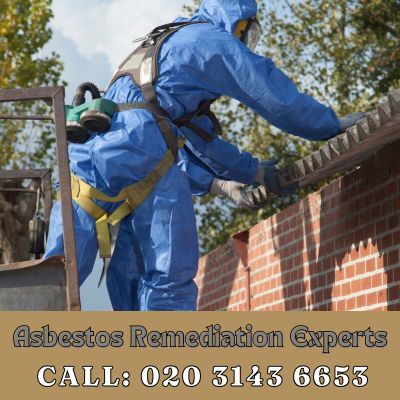 Asbestos Remediation Experts Falconwood