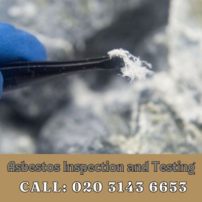 Comprehensive Asbestos Inspection and Testing Services in Falconwood